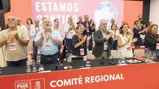 Canarias, una organización dócil y fiel a Ferraz