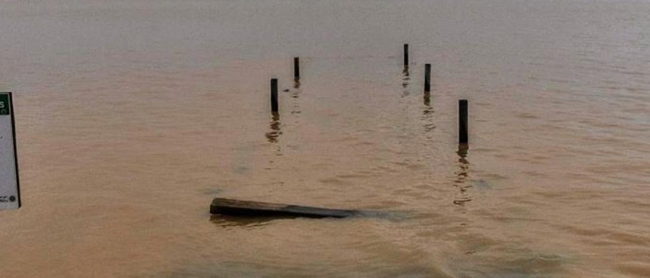 Una depuradora de 95.000 metros cúbicos impedirá la contaminación de l’Albufera