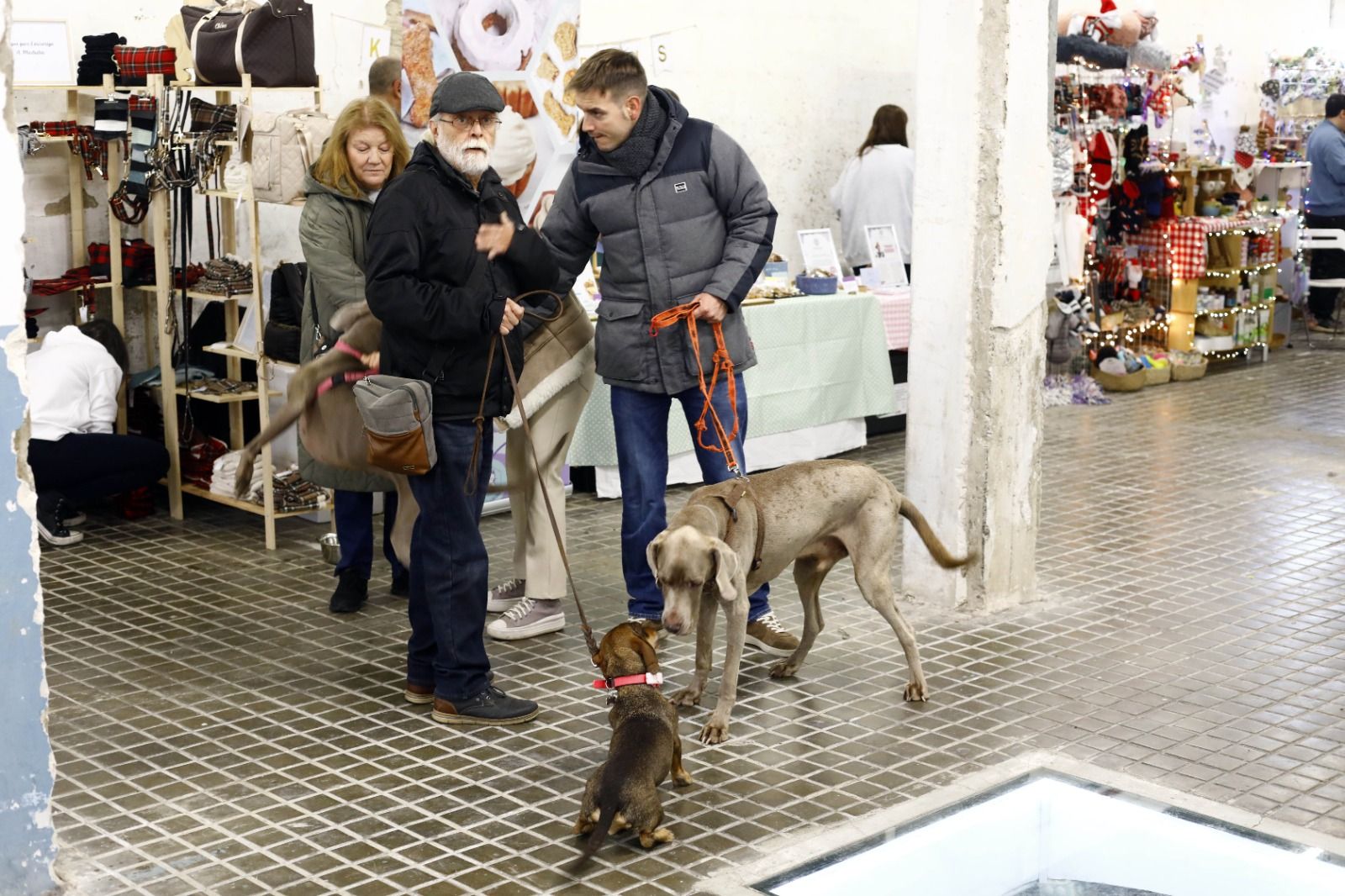 El mercado de mascotas de Zaragoza, en imágenes