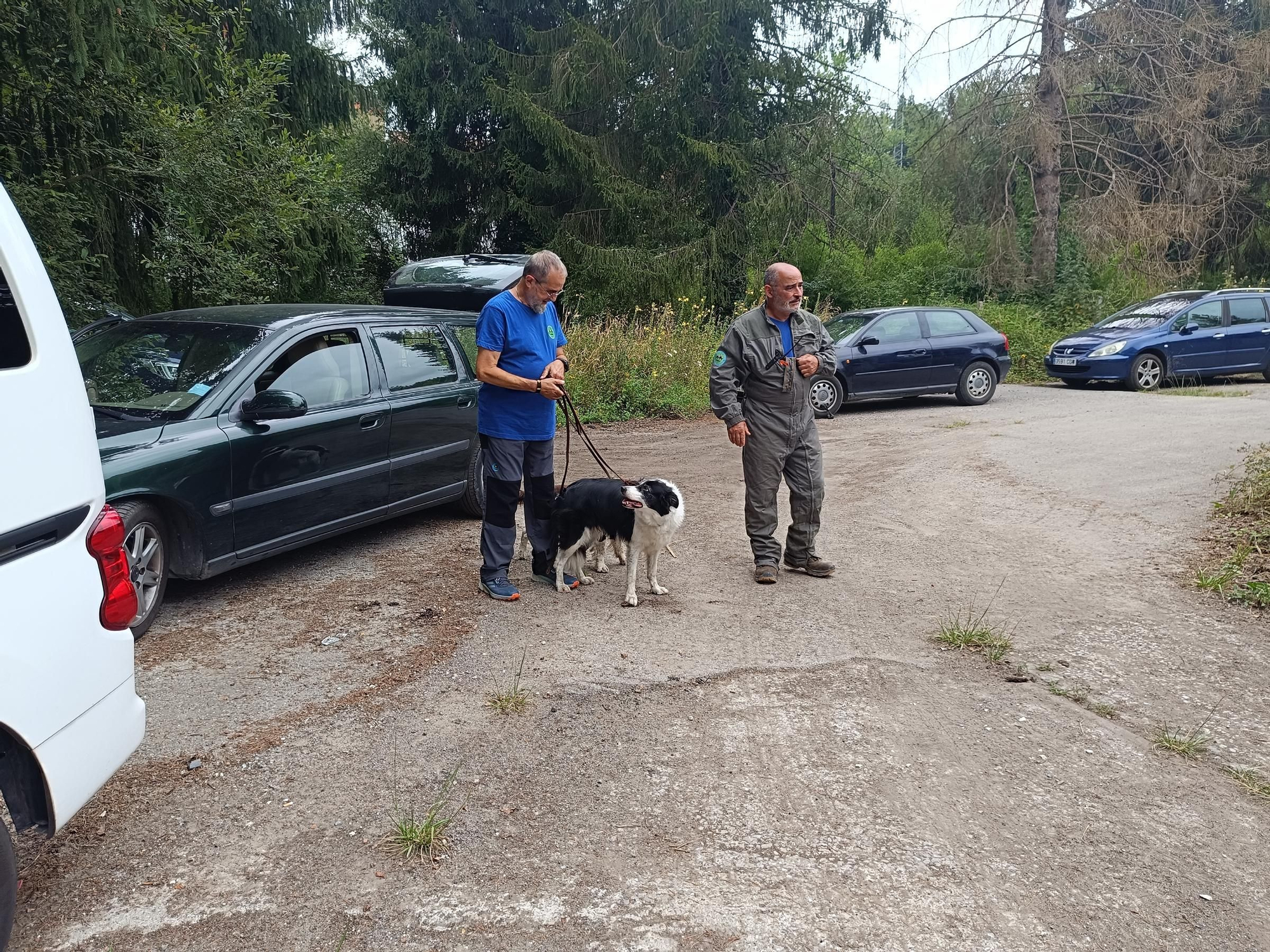 Así entrena la Unidad Canina de Rescate del Principado de Asturias, con sede en La Morgal