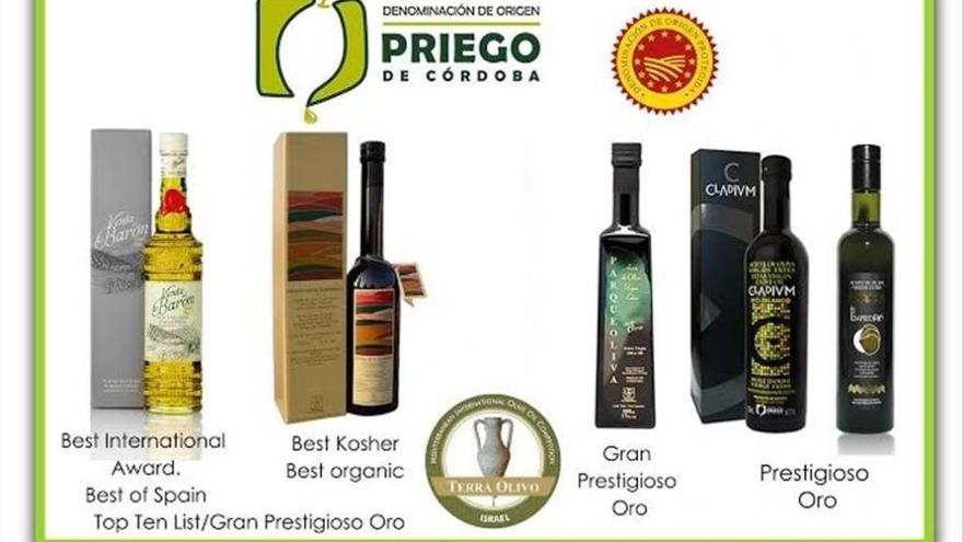 El concurso Terraolivo 2016 reconoce la excelencia de cuatro AOVE de la DOP Priego de Córdoba