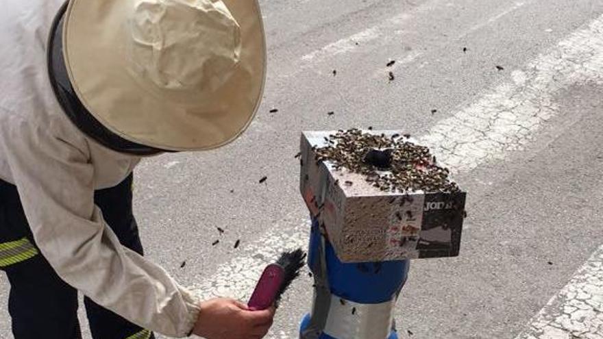 Un bombero retirando hace unos días un enjambre de abejas