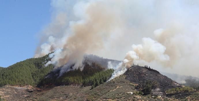 Incendio en Artenara (Gran Canaria)