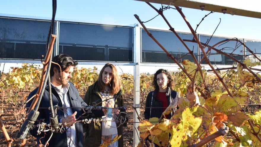 Placas solares para reducir el uso de fertilizantes junto al Mar Menor