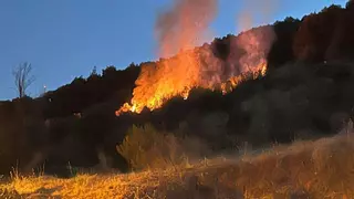 Investigado por incendio forestal y lesiones un hombre que tiraba petardos en Collserola este Sant Joan