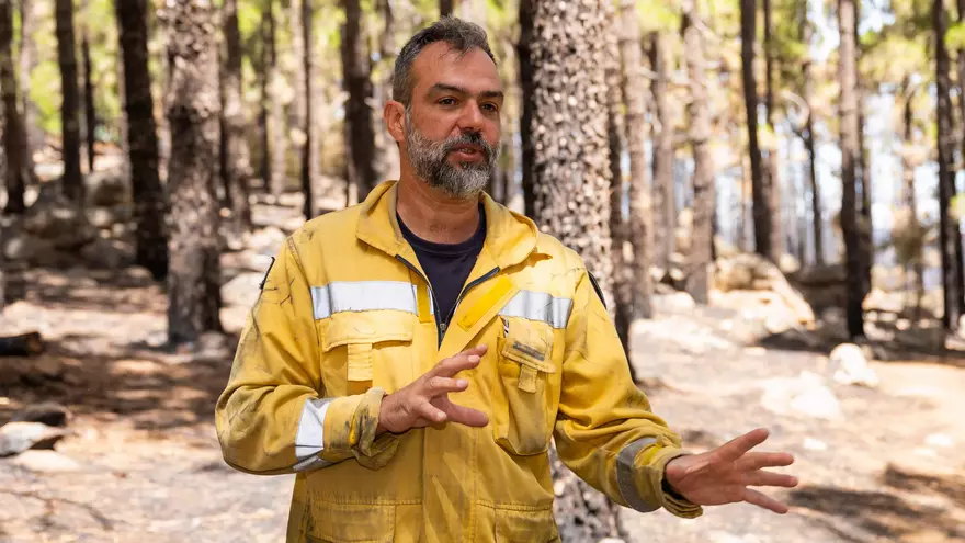 El incendio de Tenerife ha sido provocado