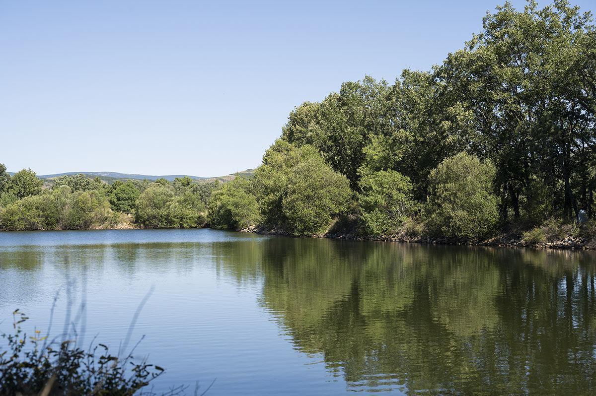 La Laguna del Salmoral está catalogada como una zona de reserva medioambiental
