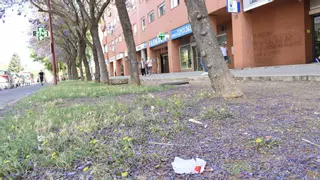 Tras la cumbre de la ONU, Sevilla Este vuelve a su batalla por la limpieza: de quejas vecinales a medidas antirratas