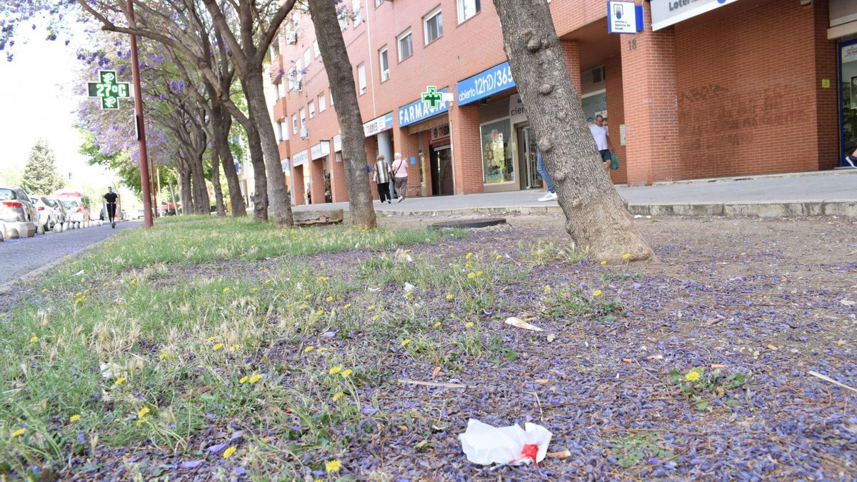 Los vecinos de Sevilla Este opinan sobre la limpieza del barrio