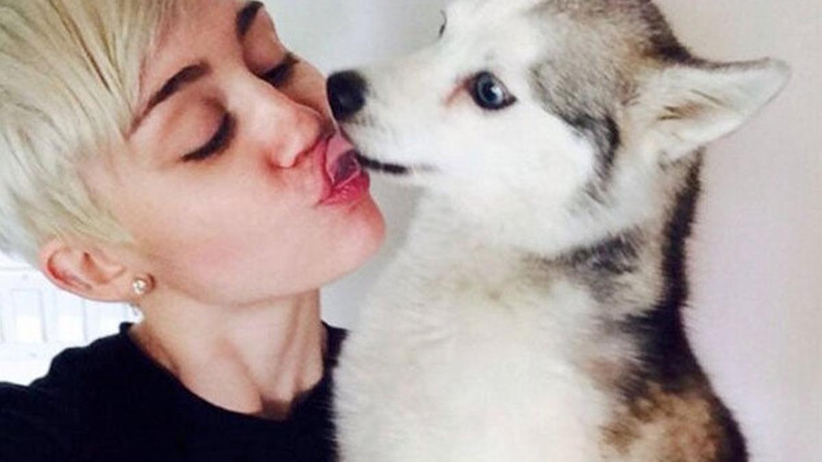 Miley Cyrus Está Desolada Cuore 