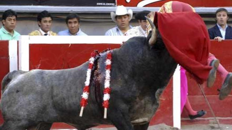 ¿Adiós a los toros en México DF?