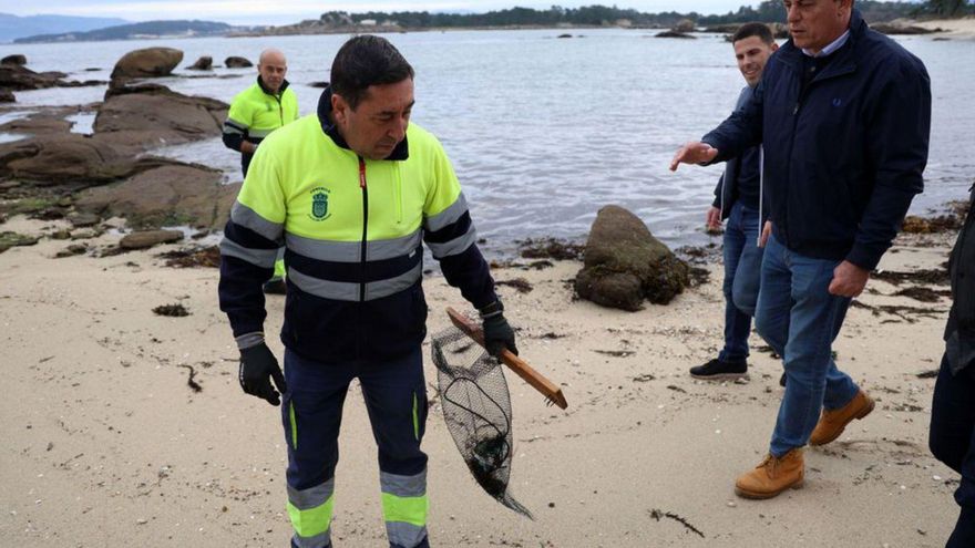 A Illa iniciará el plan de recuperación de la duna de la playa de Os Petóns en octubre