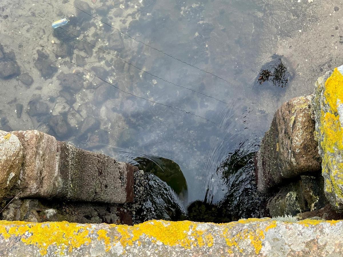 Los molinos de mareas aprovechaban las variaciones del nivel de la superficie del mar para accionar sus mecanismos y moler el grano