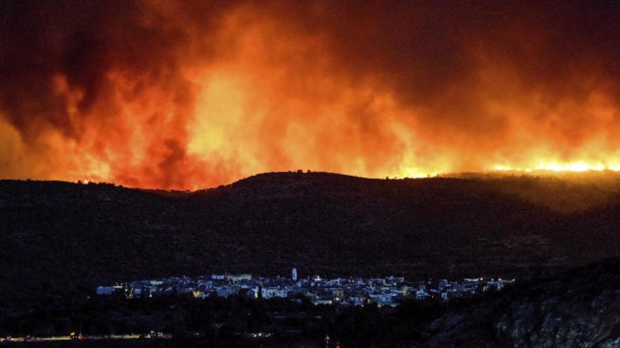 El fuego devasta la isla de Quíos y destroza la producción de mastika
