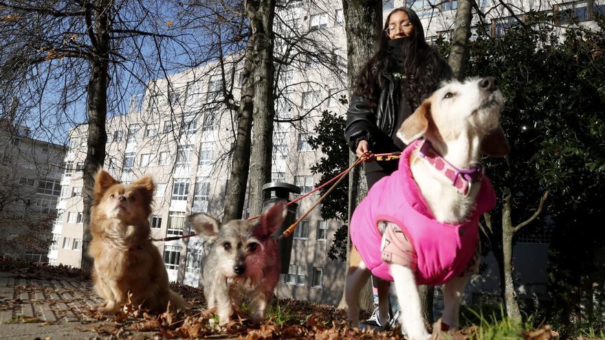Michelle Sanguino pasea a su perra y a dos canes más en Vigo. Ainhoa Marconi junto con una de las mascotas que ha cuidado.