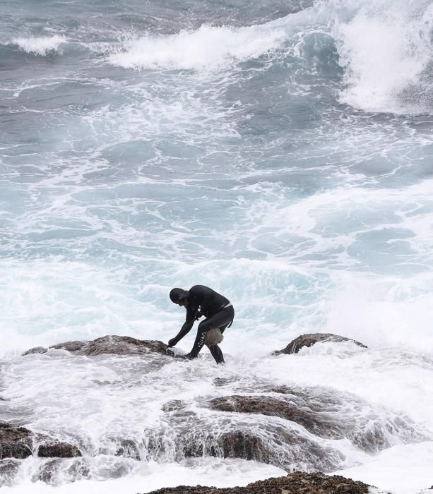 Percebeiros trabajando en la costa de Baiona, pese a los efectos de "Miguel"