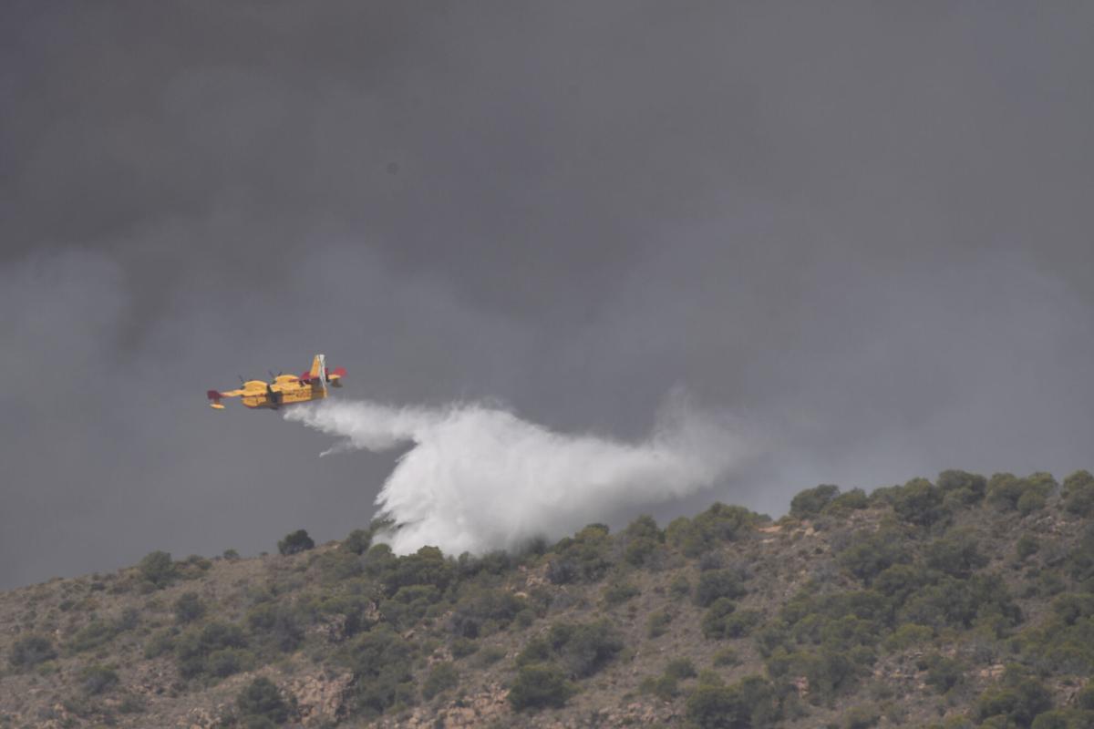 Incendio de Los Gallardos, en imágenes