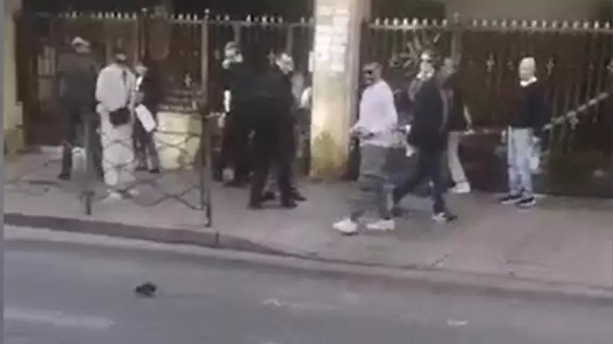 Las ratas en Alicante: ¿cada día más "descaradas"?