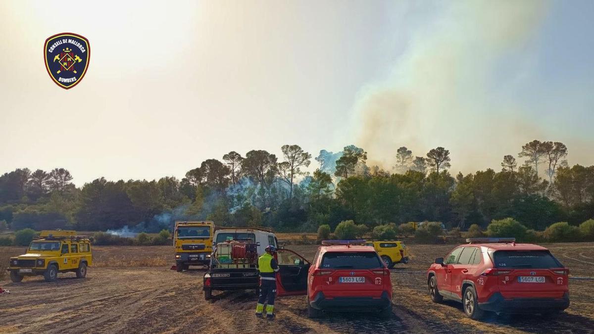 Medios áreos y terrestres combaten dos incendios en Muro.