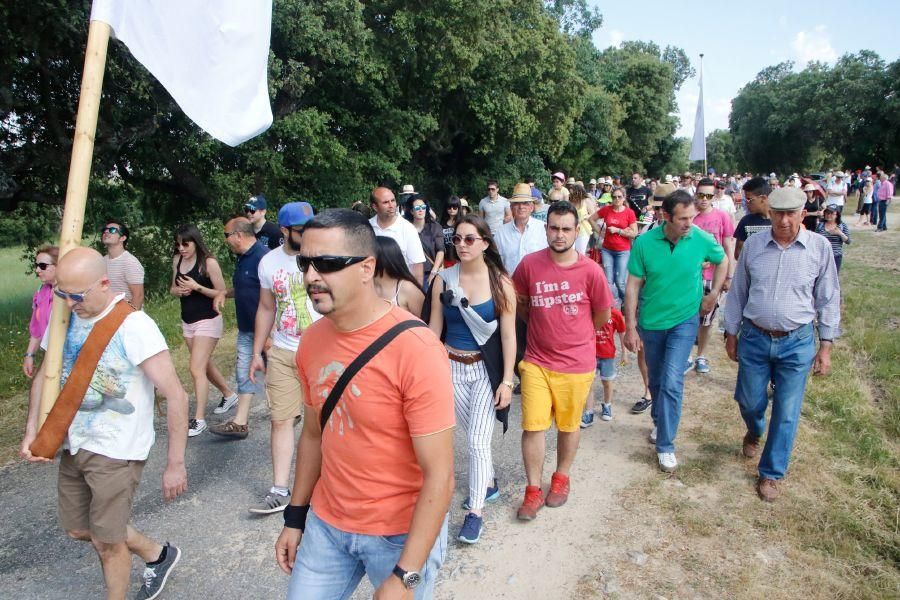 Romería de la Virgen del Castillo en Fariza