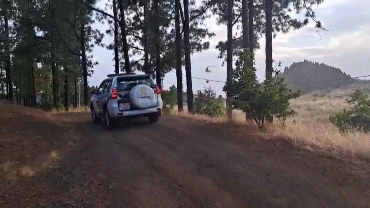 La Guardia Civil participa en las labores de extinción del incendio forestal de Tenerife
