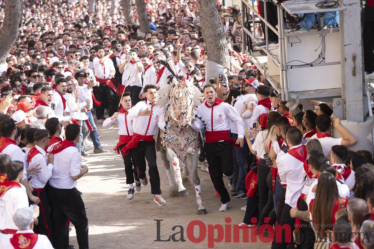 Así se ha vivido la carrera de Los Caballos del Vino en Caravaca