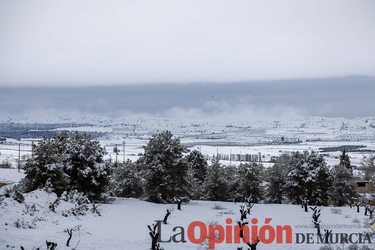 La comarca del Noroeste ofrece una estampa invernal