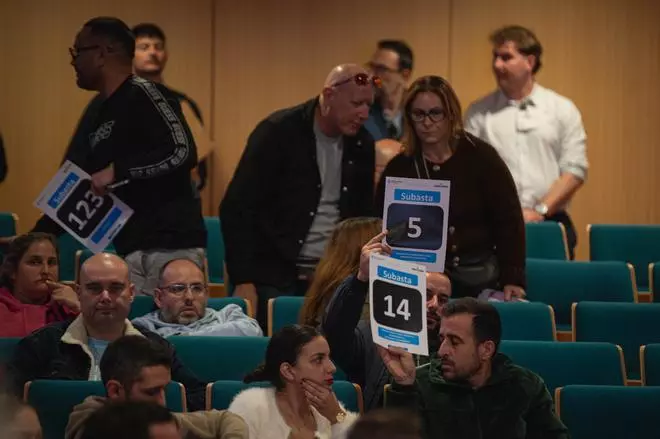 Subasta de los kioscos del Carnaval de Santa Cruz de Tenerife 2026