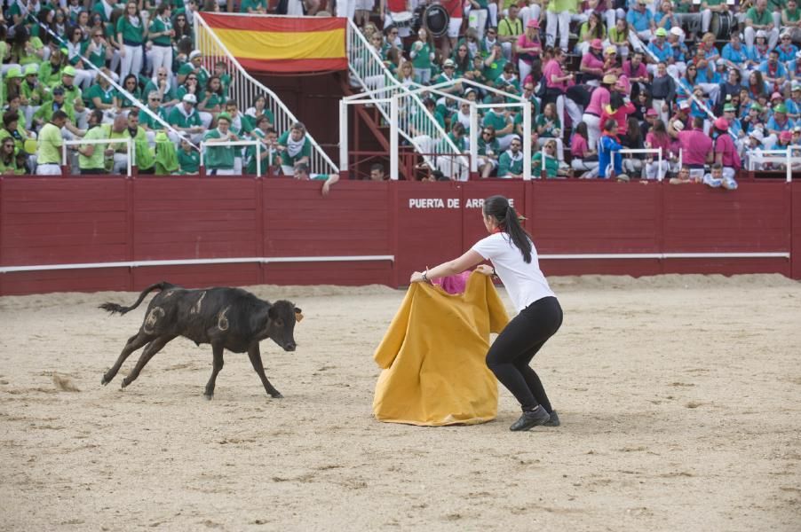 Becerrada, encierros y vaca de la sangría