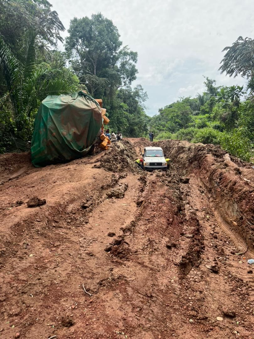 La Fundación Bangassou cumple 25 años