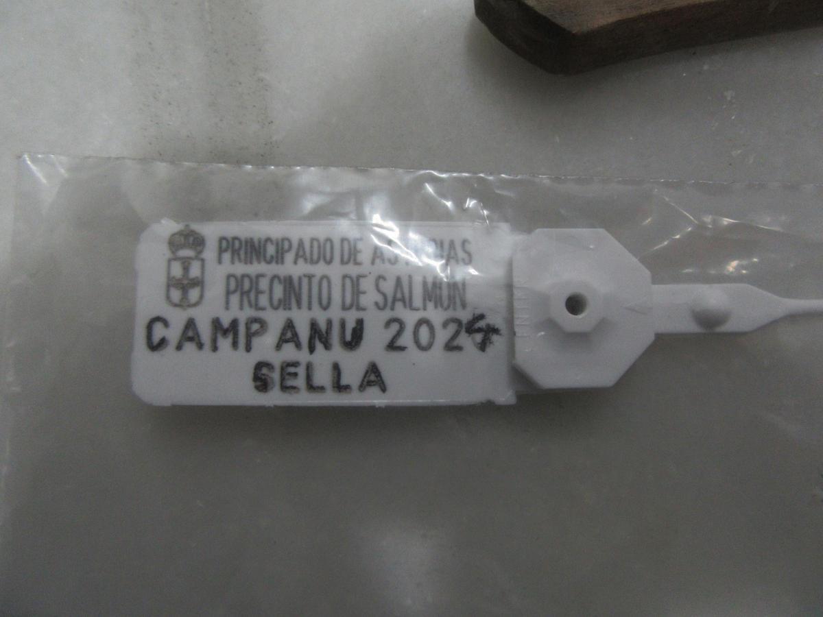 El precinto del campanu del Sella, sin estrenar.