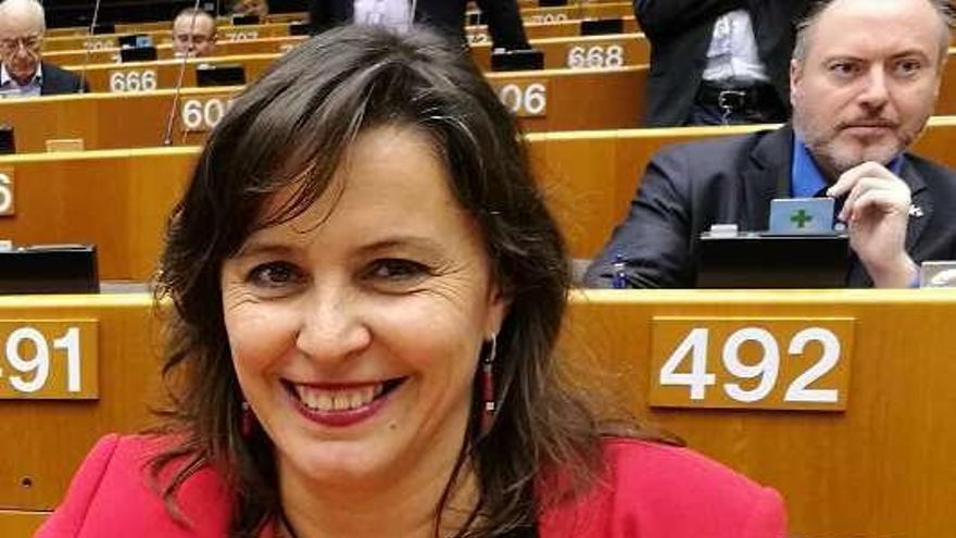 Miranda, onte na Eurocámara co &quot;Sempre en Galiza&quot;. // FdV