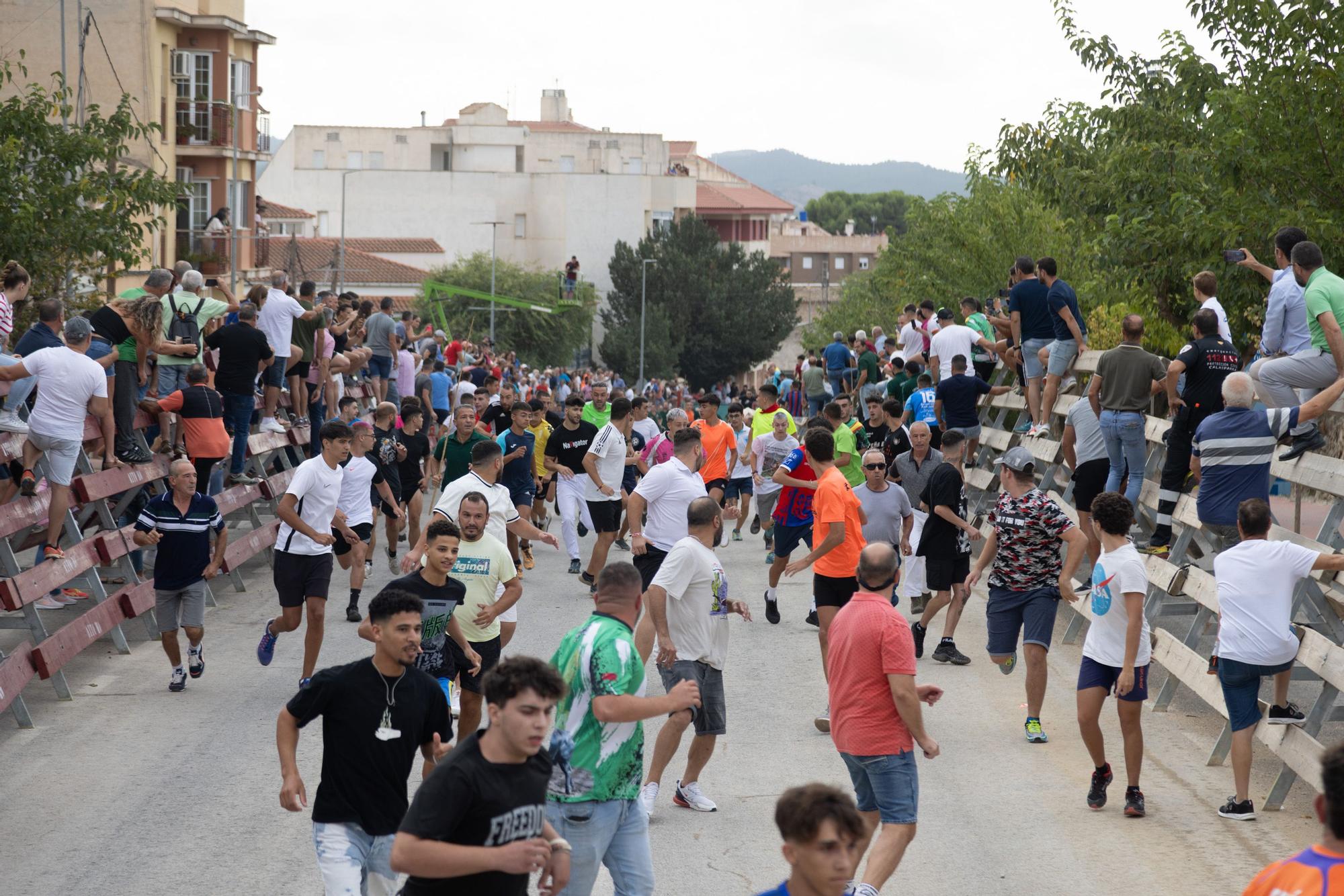 Tercer encierro de la Feria Taurina del Arroz en Calasparra