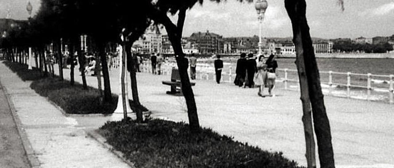 Los tamarindos del Muro en 1945.