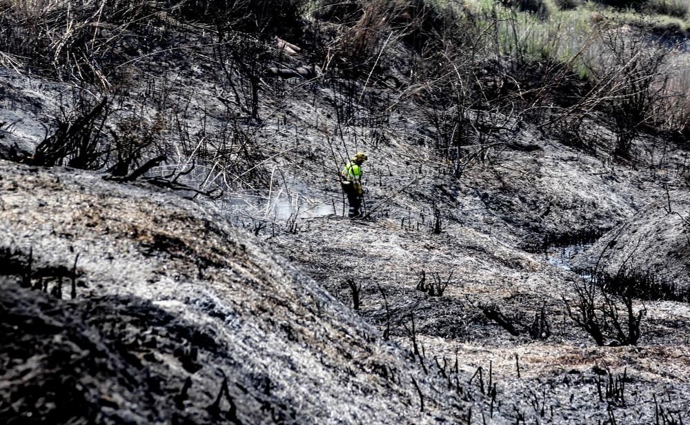 El fuego calcinó 20.000 metros cuadrados de matorral la noche del miércoles