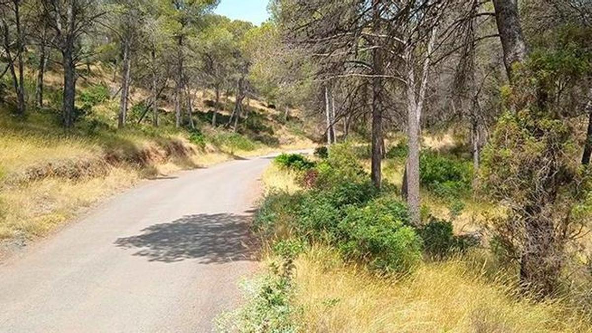 Camino del Povitxol.