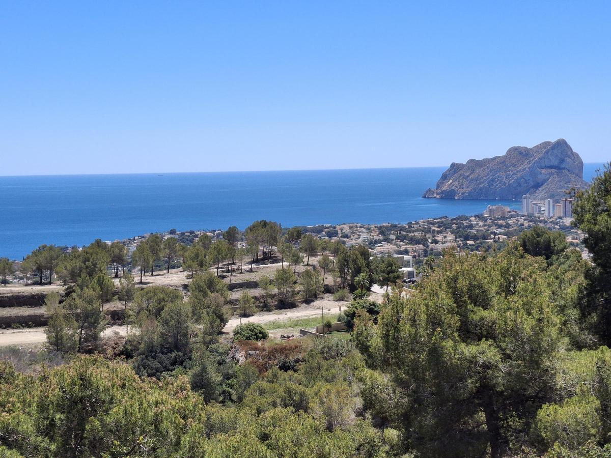 El montículo donde se han llevado a cabo la tala y el desbroce