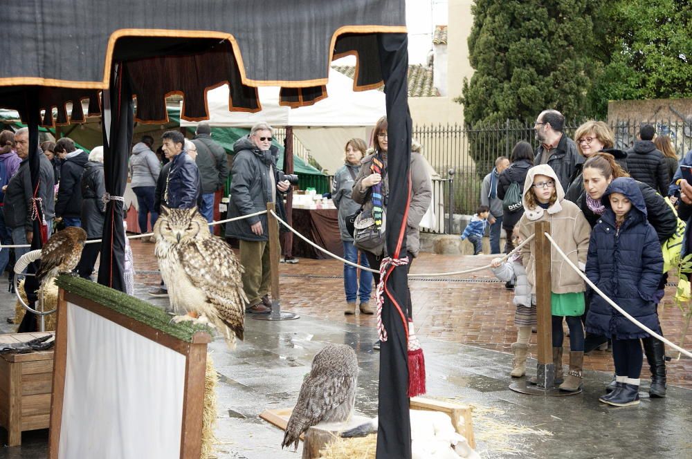 Mercat Romà de Llagostera