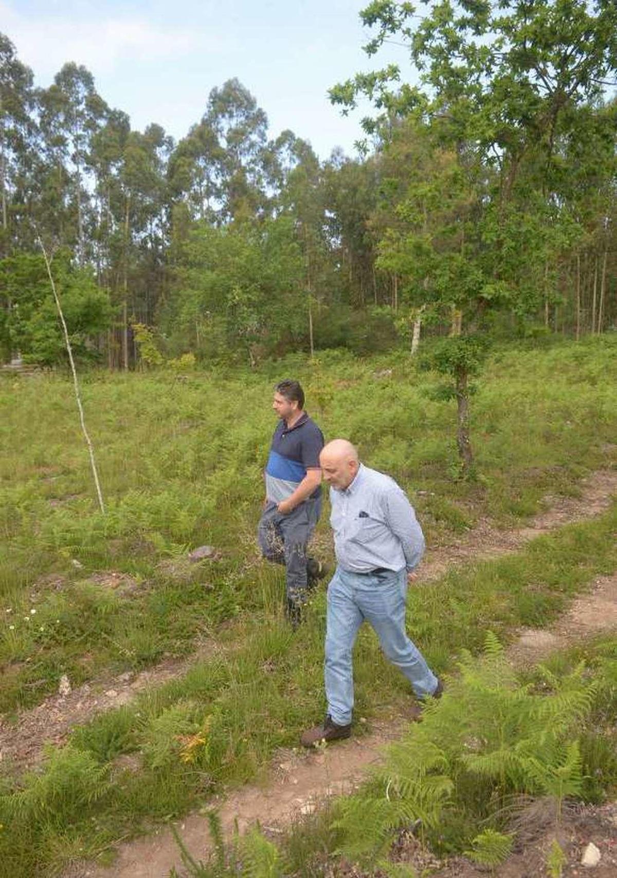 El miedo a las sanciones lleva a los dueños a deshacerse de parcelas de monte