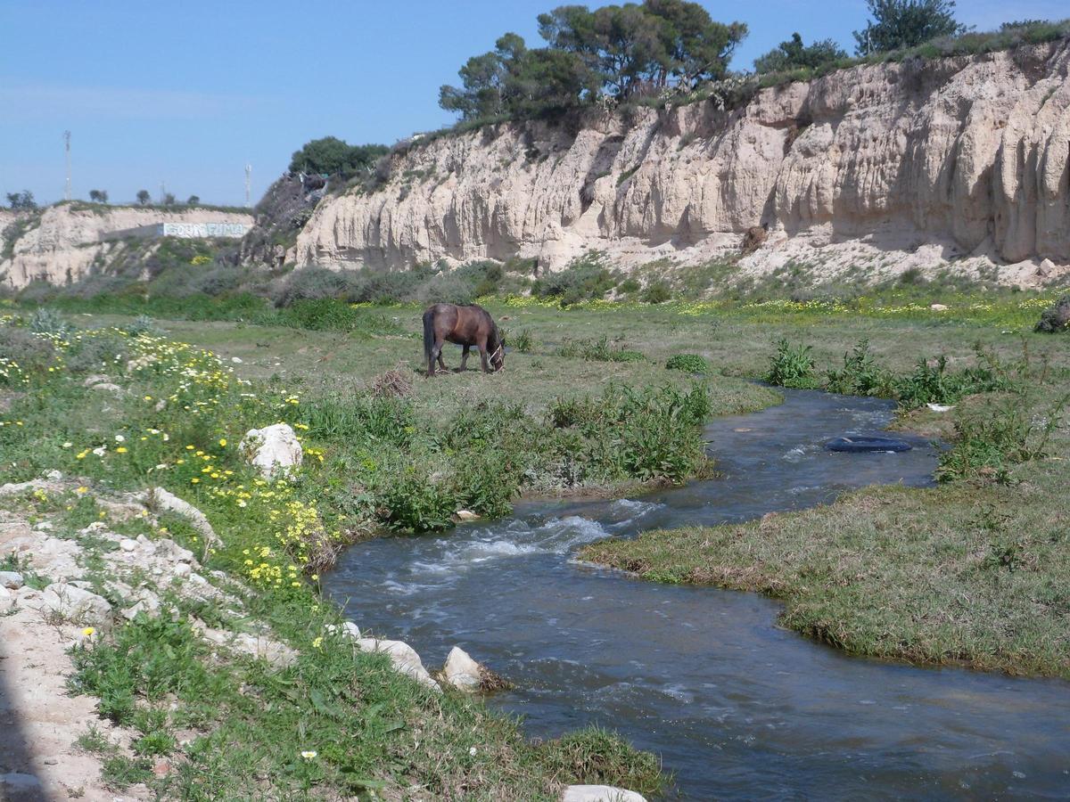 El río Montnegre, cerca del punto donde se vierte la salmuera