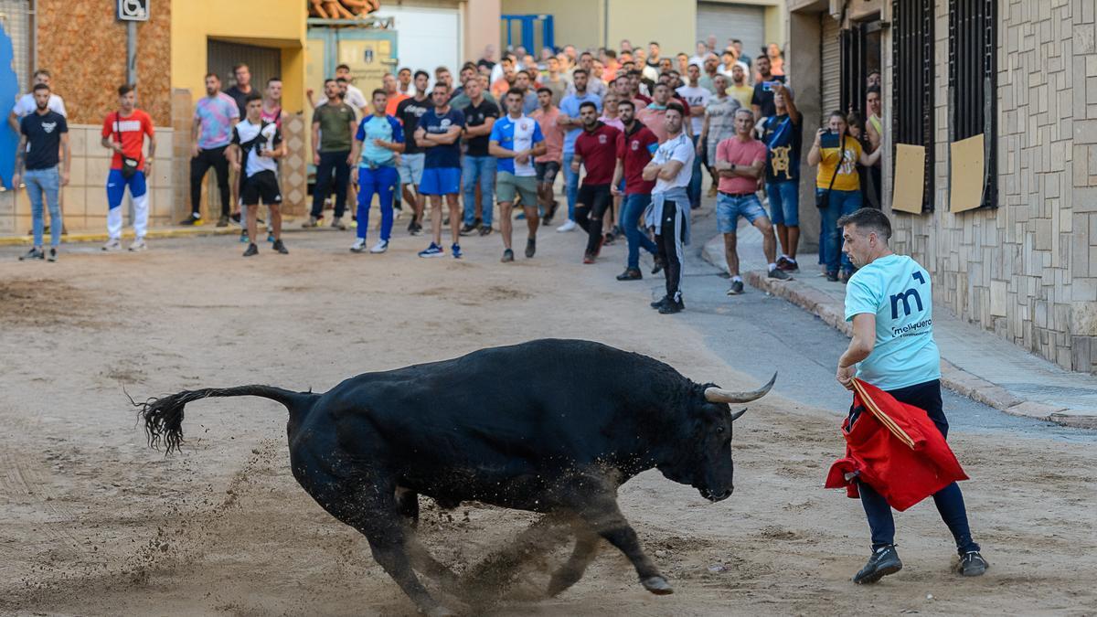 Bous de La Vall.