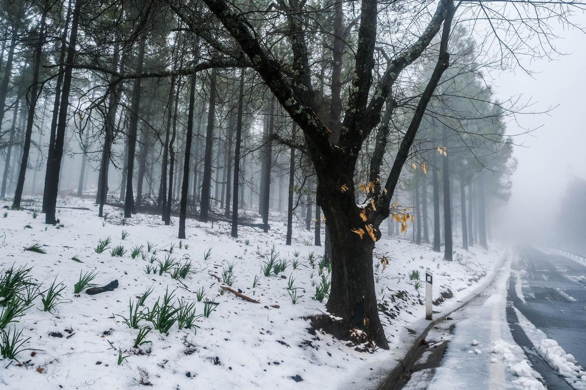 Nieve en la cumbre de Gran Canaria (15/03/2022)