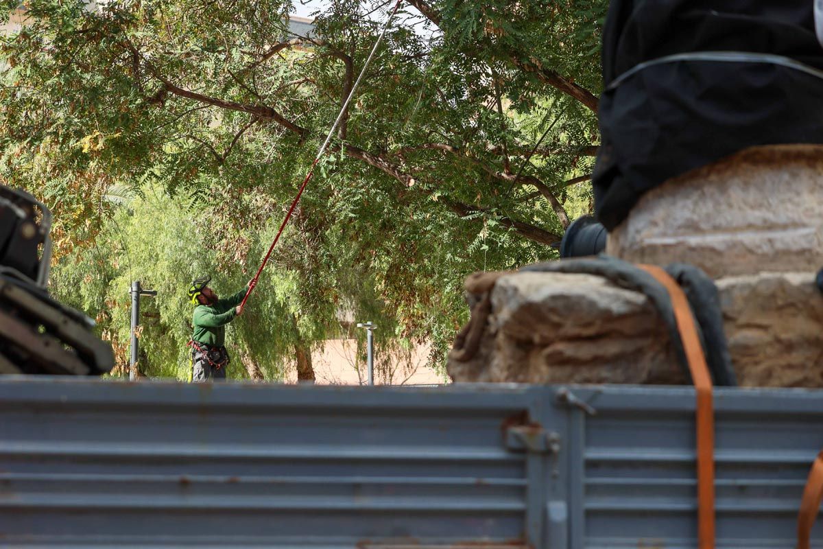 Galería: Todas las imagenes del traslado de la pagesa de Ibzia a su nueva ubicación