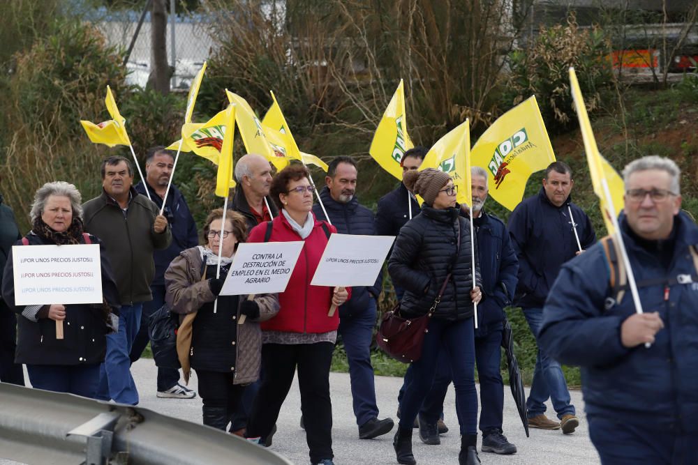 Los agricultores se manifiestan en Málaga contra la bajada de precios