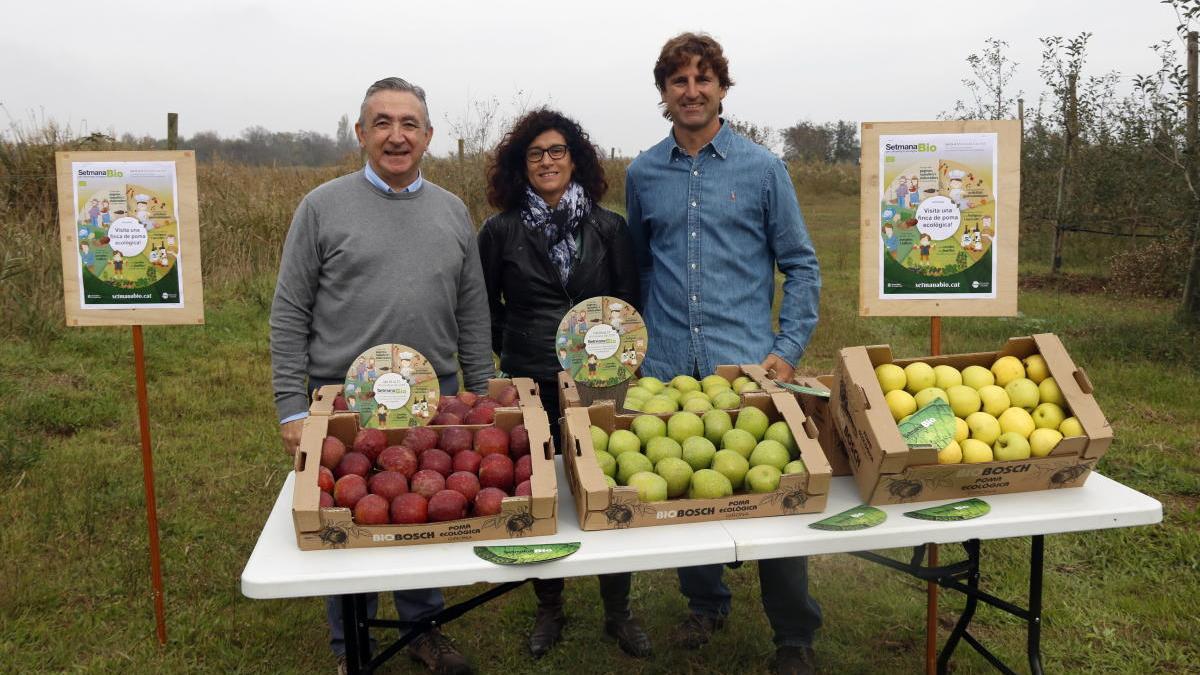 Part de la producció és a Sant Pere.