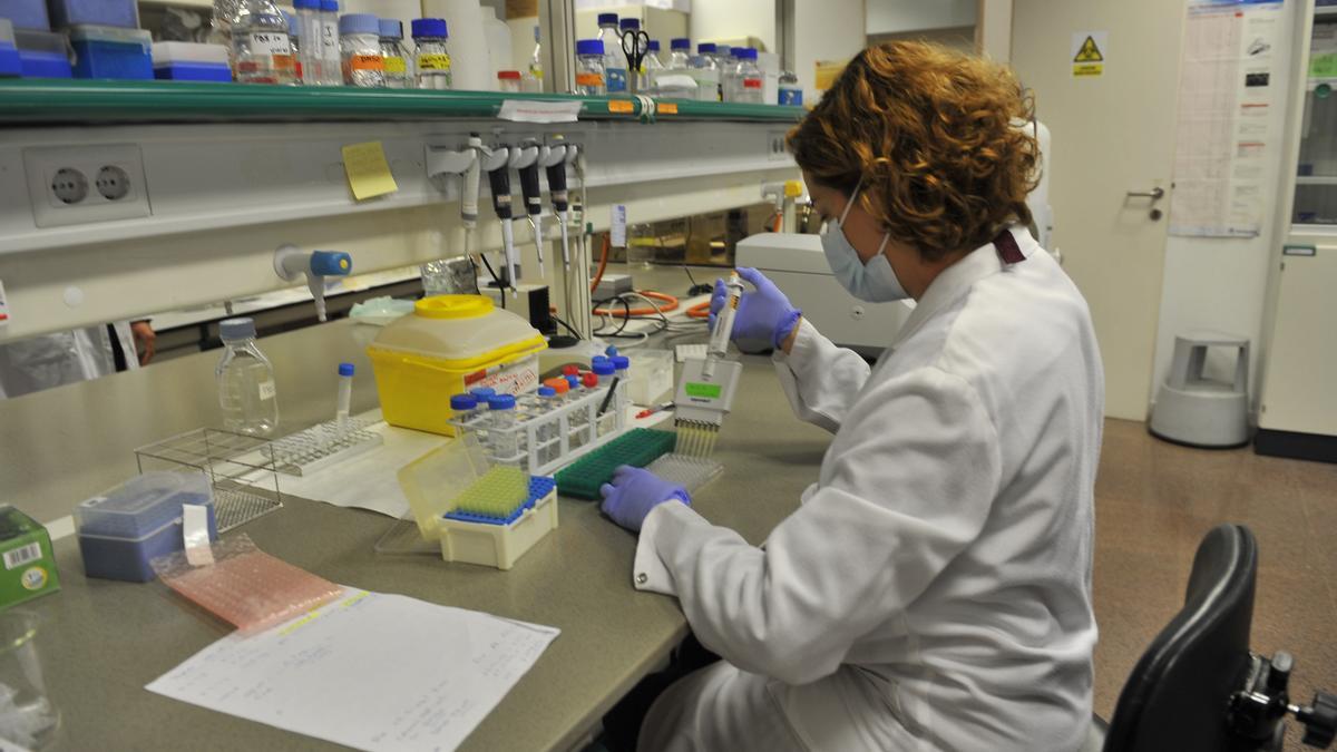 Investigación en el Instituto de Biotecnología de la UMH