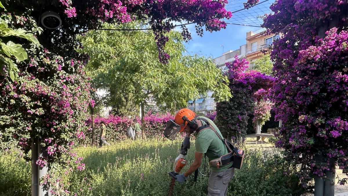 Una imatge de personal treballant en el servei de jardineria.