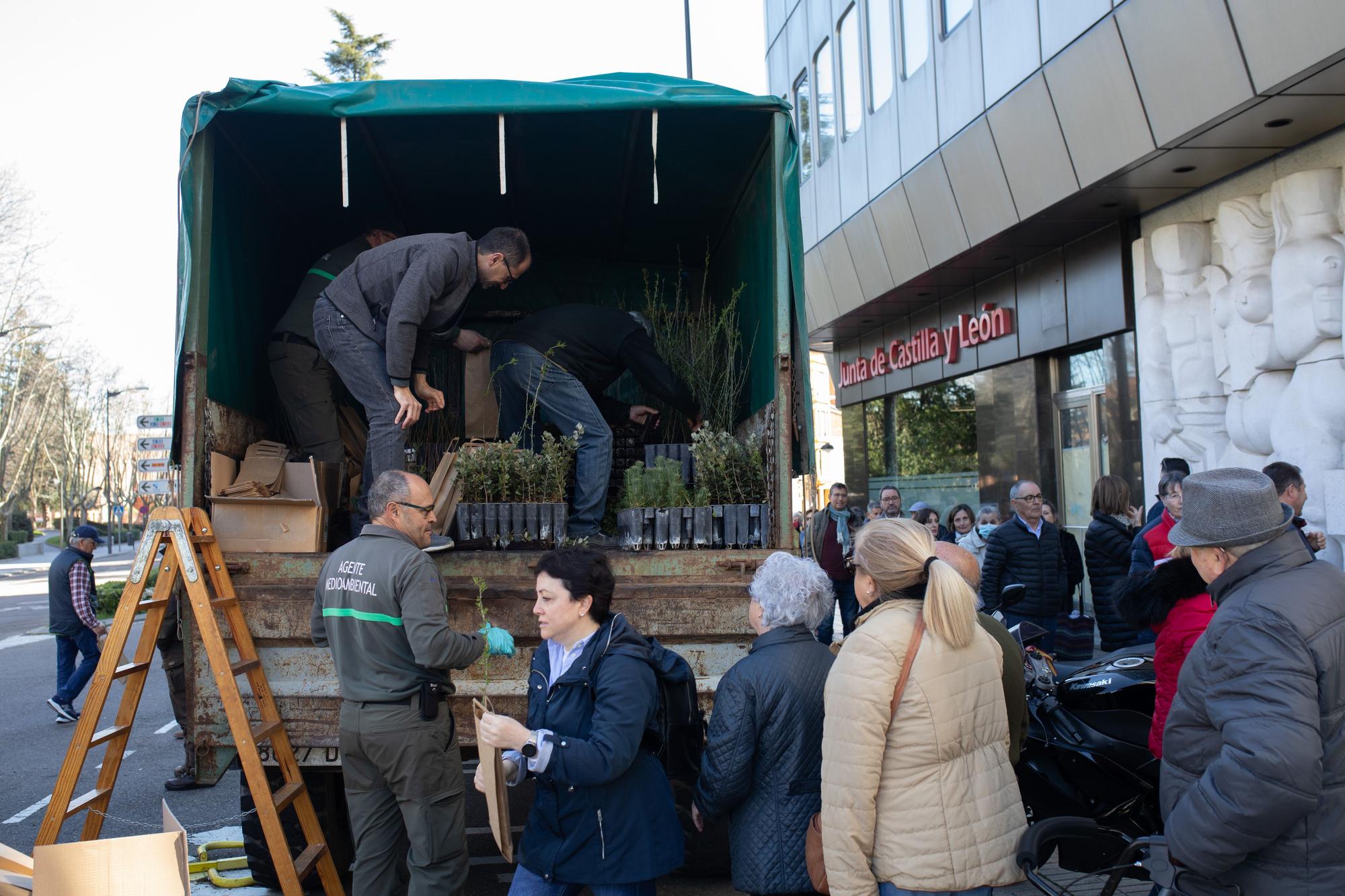 GALERÍA | Así celebra Zamora el Día del Árbol