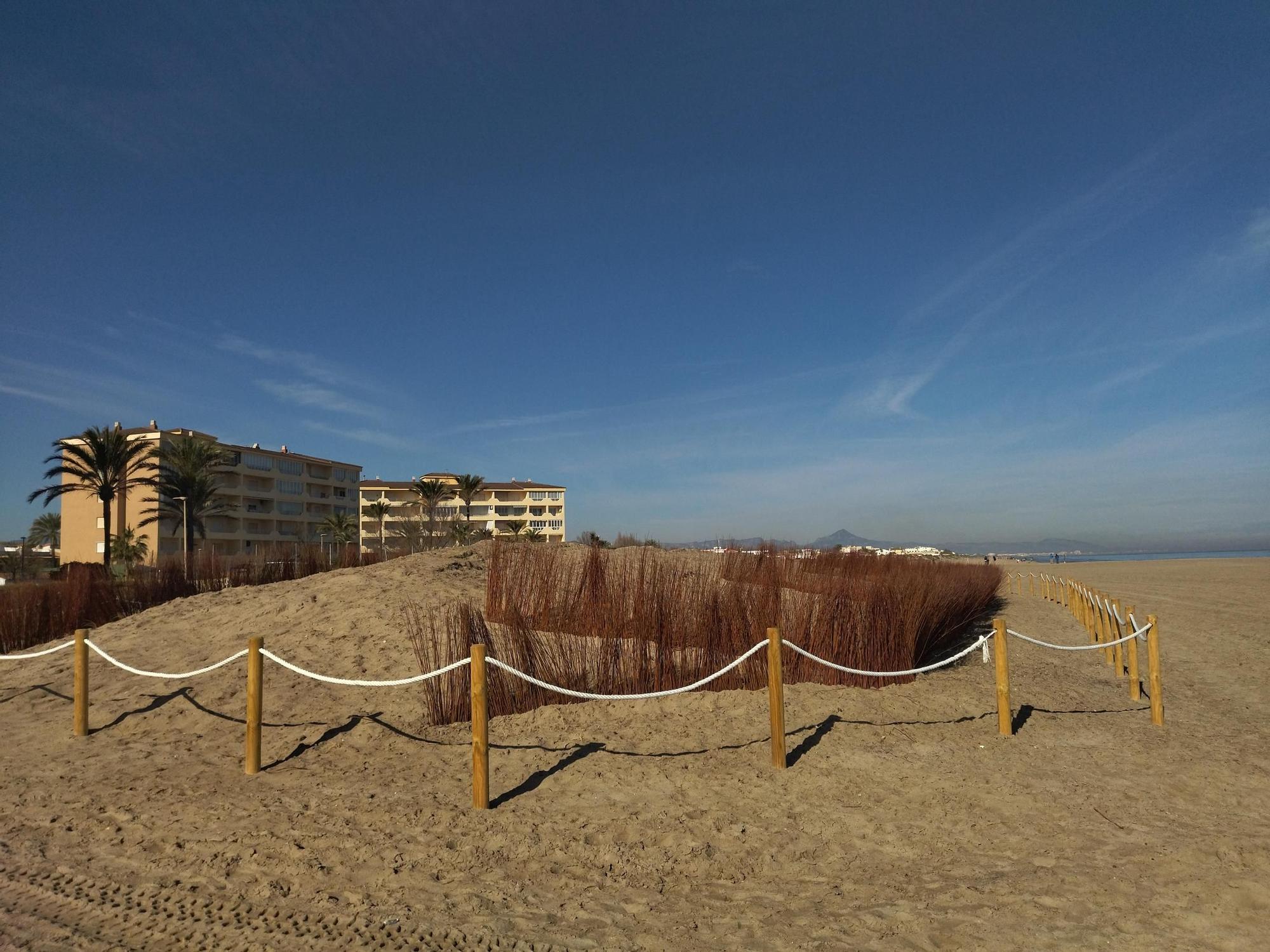 Las imágenes de la espectacular regeneración de la playa de les Deveses de Dénia