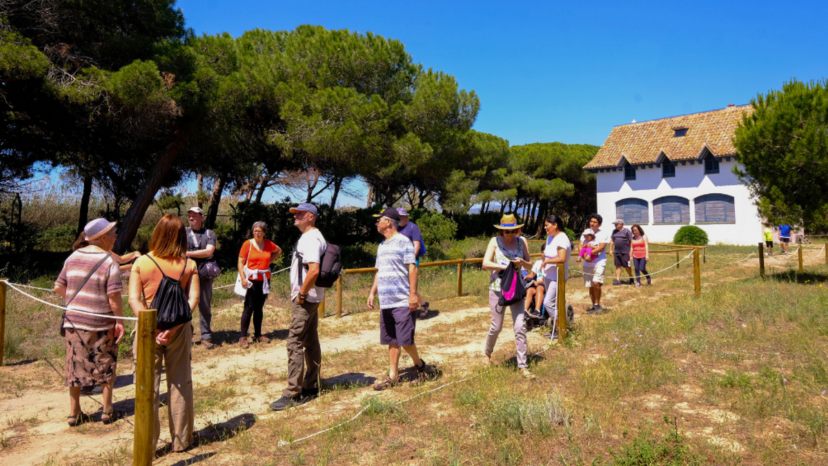 Tornen les visites al Remolar de Viladecans